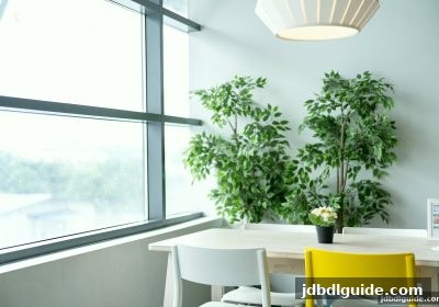 龙虎和游戏全维度分析：通过jdb电子下载地址开启公平博弈之旅