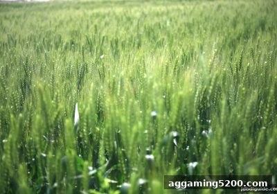 jdb电子下载地址会员月俸禄完整领取指南：从条件到技巧一步到位